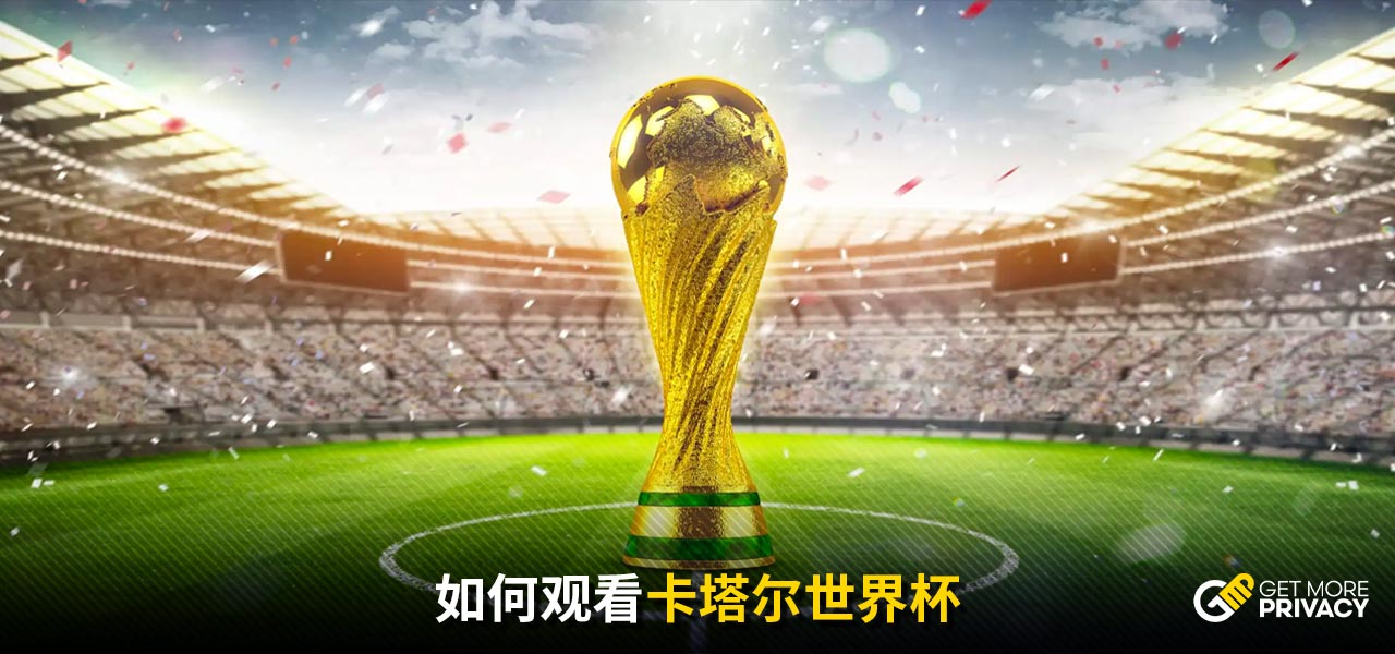 也成了专家